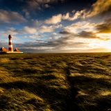 Salzwiesen und Westerhever Leuchtturm