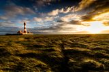Salzwiesen und Westerhever Leuchtturm