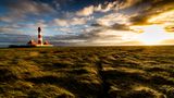 Salzwiesen und Westerhever Leuchtturm
