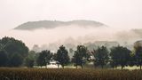 Papstdorf im Nebel