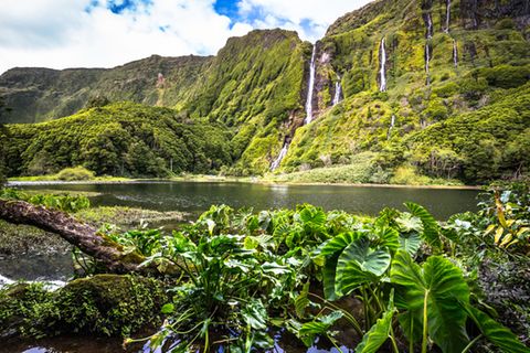Flores, Azoren