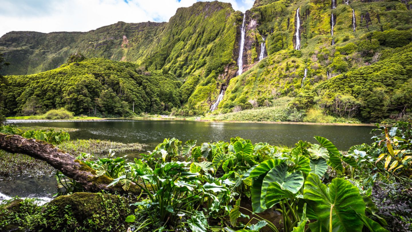 Flores, Azoren