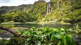 Flores, Azoren