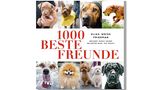 1000 beste Freunde