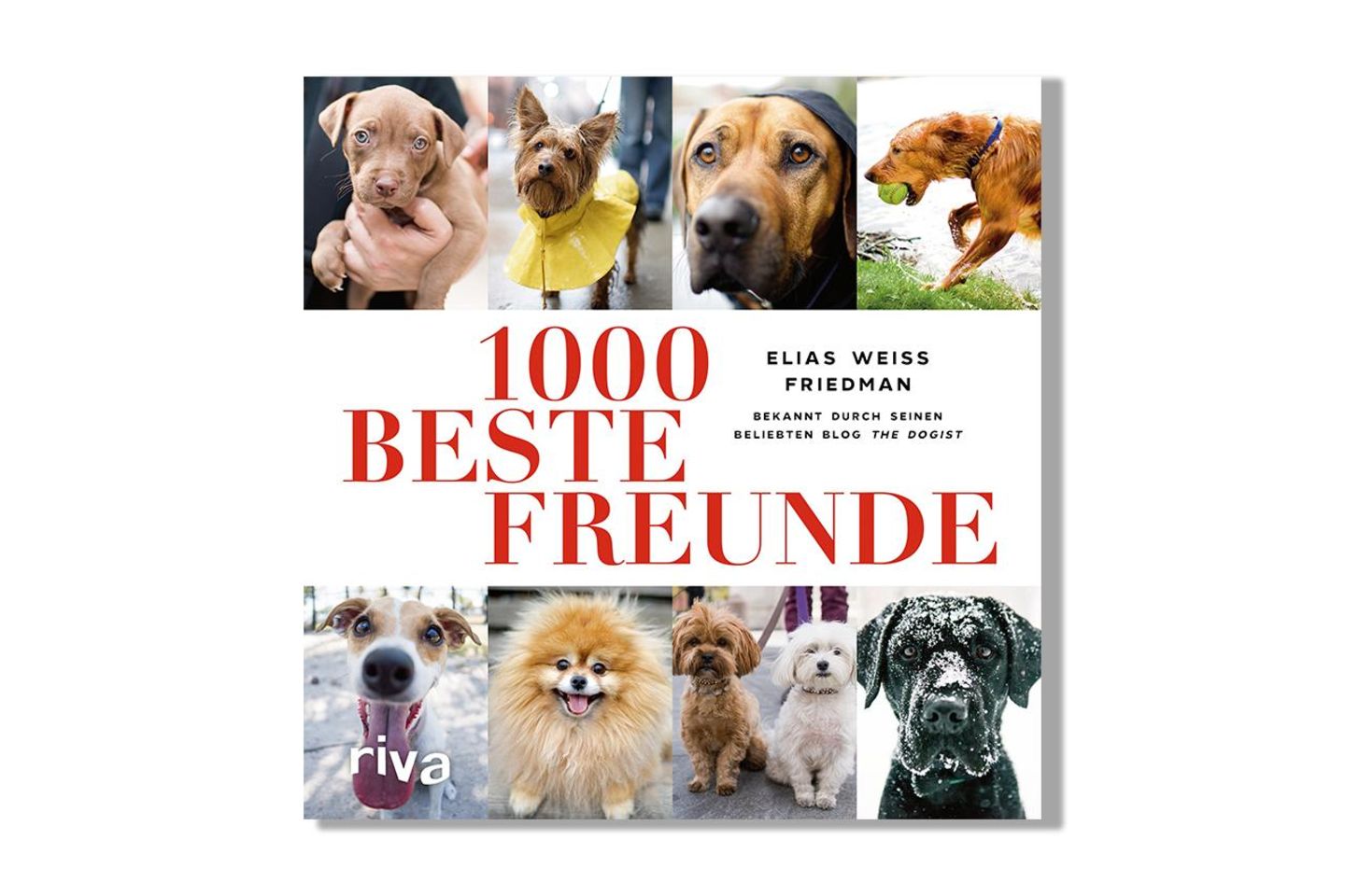 1000 beste Freunde