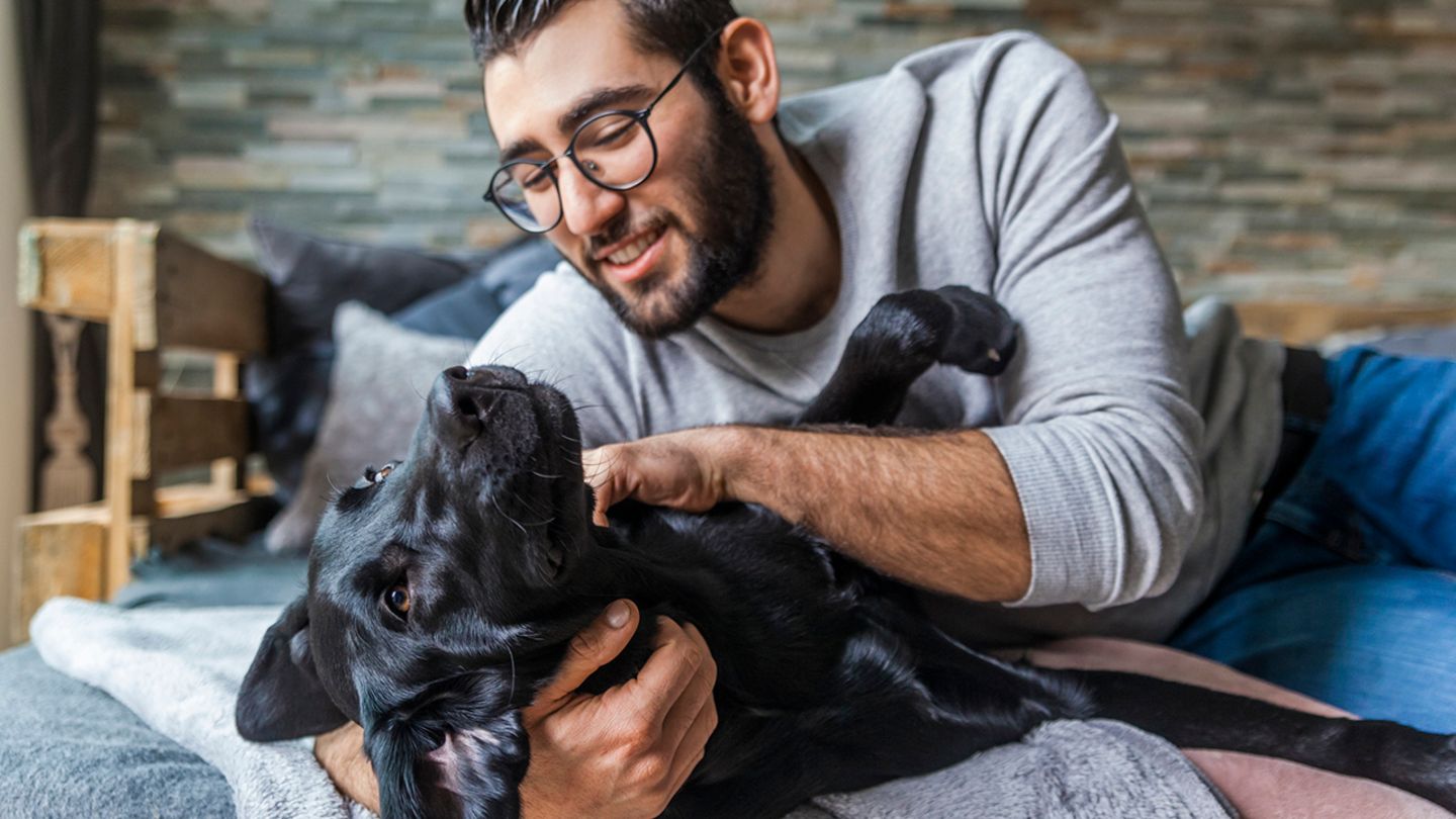 Was Tiere uns schenken – und wir ihnen - [GEO]