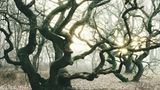 Waldwelten - Kilian Schönberger