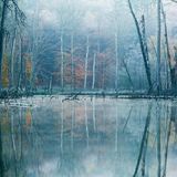 Waldwelten - Kilian Schönberger