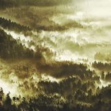 Waldwelten - Kilian Schönberger