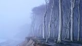 Waldwelten - Kilian Schönberger