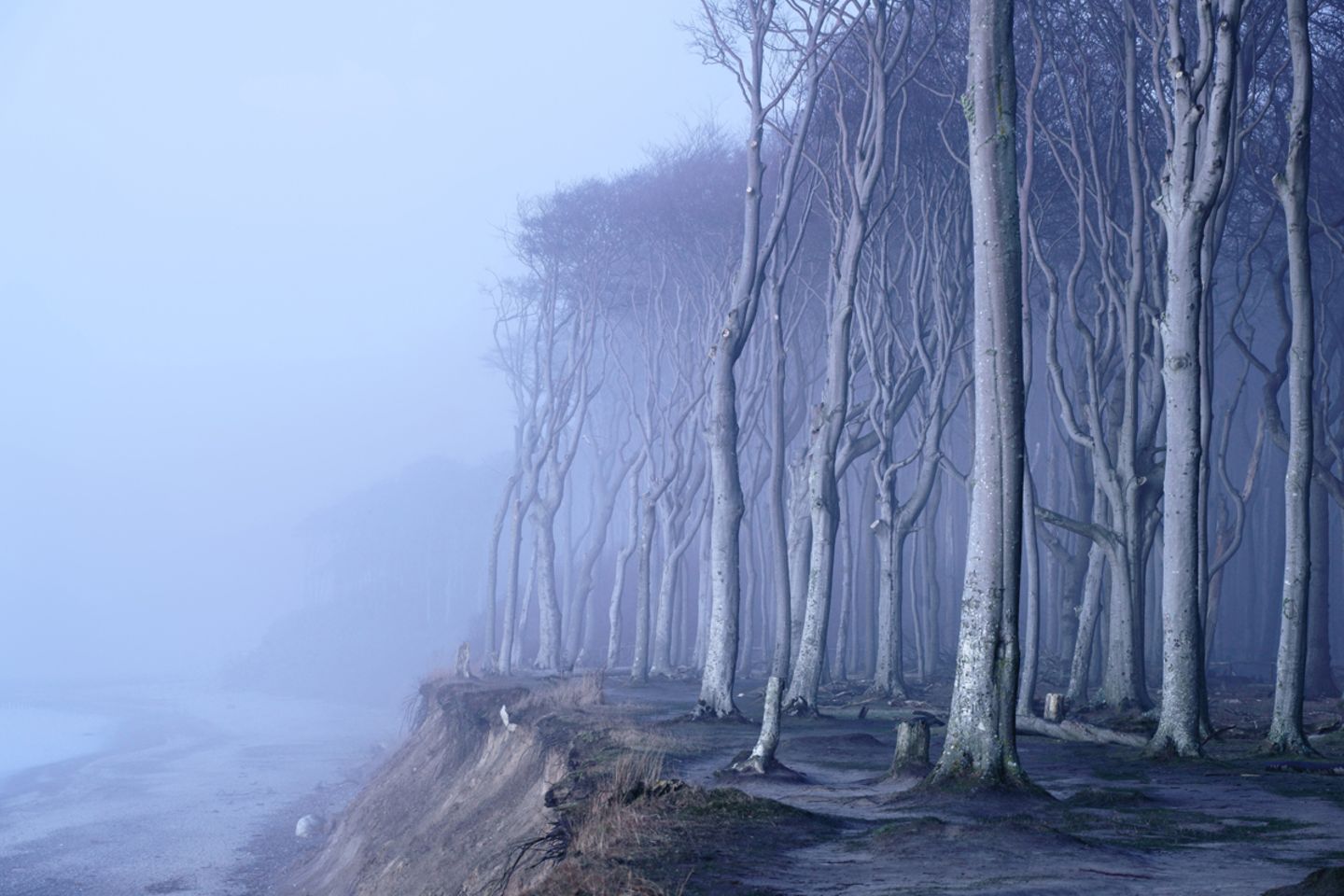Waldwelten - Kilian Schönberger