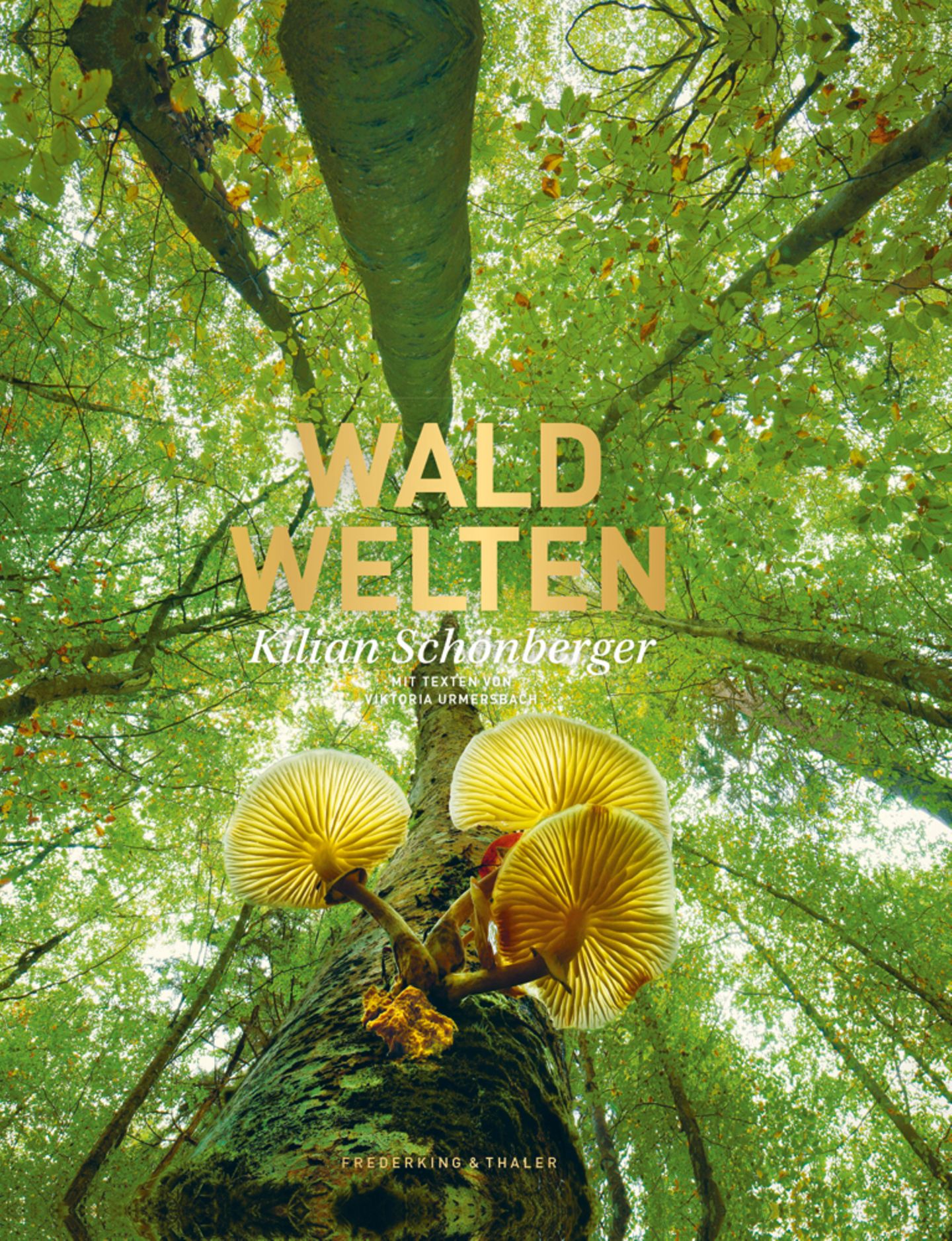 Waldwelten - Kilian Schönberger
