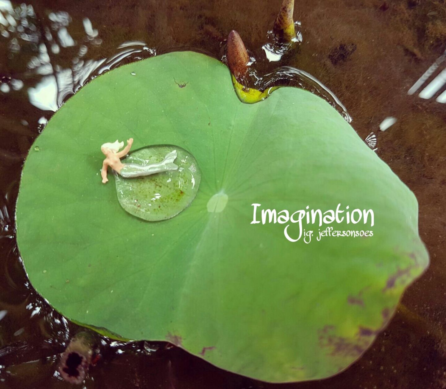 Miniature / Jefferson Soesetyo