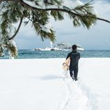 Endlich Winter, Gestalten 2017