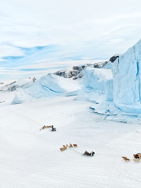 Endlich Winter, Gestalten 2017
