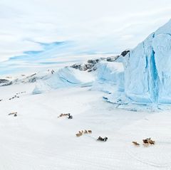 Endlich Winter, Gestalten 2017