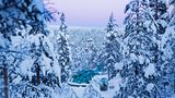 Endlich Winter, Gestalten 2017