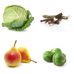 GEO Saisonkalender Dezember