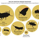Diagramm Insekten