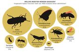 Diagramm Insekten