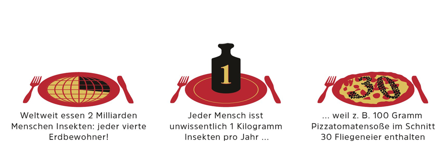 Novel Food-Verordnung: Werden Mehlwürmer und Maden den europäischen Markt erobern? - Bild 2 Novel Food-Verordnung: Werden Mehlwürmer und Maden den europäischen Markt erobern? - Bild 2