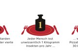 Novel Food-Verordnung: Werden Mehlwürmer und Maden den europäischen Markt erobern? - Bild 2