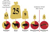 Novel Food-Verordnung: Werden Mehlwürmer und Maden den europäischen Markt erobern? - Bild 3