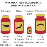 Novel Food-Verordnung: Werden Mehlwürmer und Maden den europäischen Markt erobern? - Bild 5