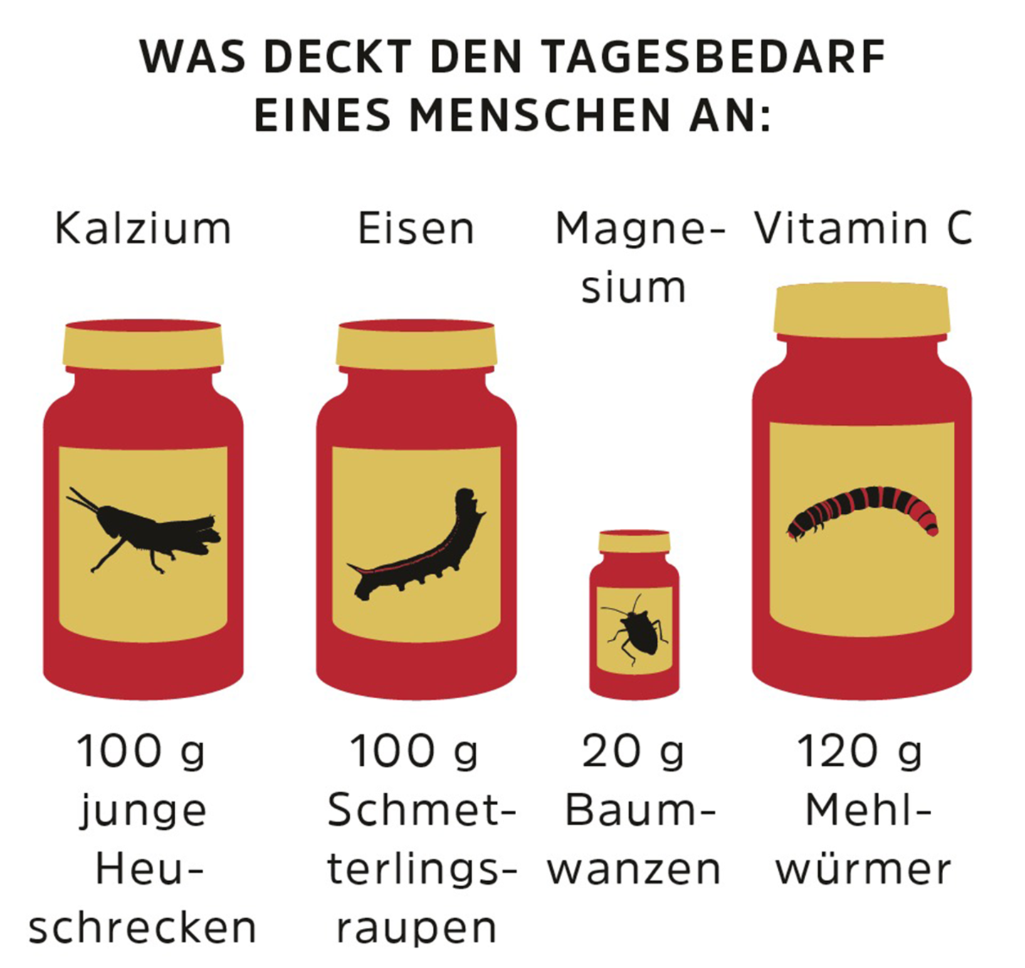 Novel Food-Verordnung: Werden Mehlwürmer und Maden den europäischen Markt erobern? - Bild 5 Novel Food-Verordnung: Werden Mehlwürmer und Maden den europäischen Markt erobern? - Bild 5