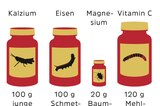 Novel Food-Verordnung: Werden Mehlwürmer und Maden den europäischen Markt erobern? - Bild 5