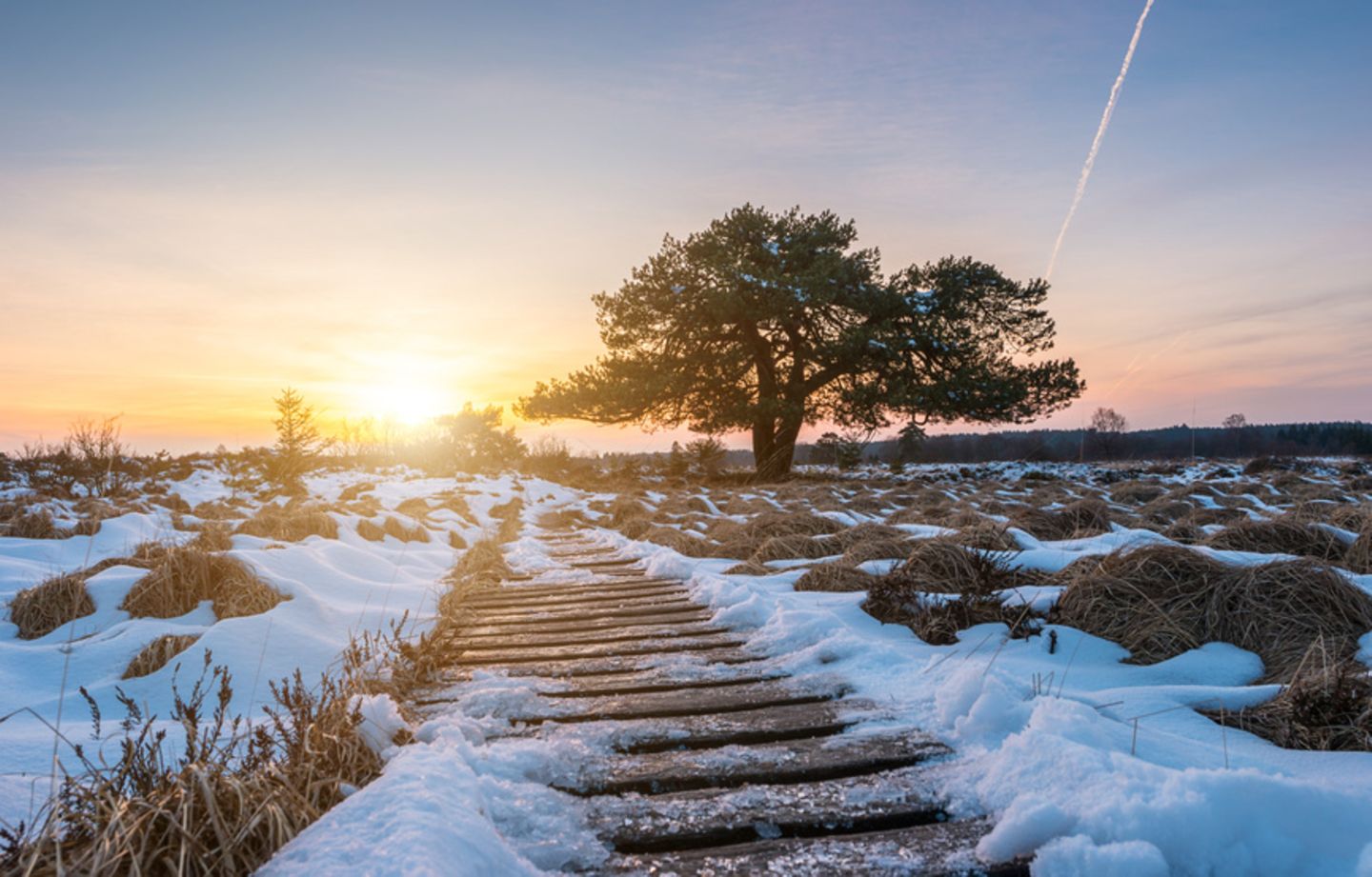 Hohes Venn, Belgien