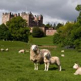 Drumlanrig Castle, Dumfries & Galloway,  Schottland