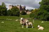 Drumlanrig Castle, Dumfries & Galloway,  Schottland