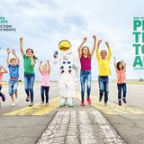 Protestonaut Kalender 2018