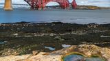 Forth Rail Bridge, Edinburgh