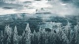 Schwarzwald
