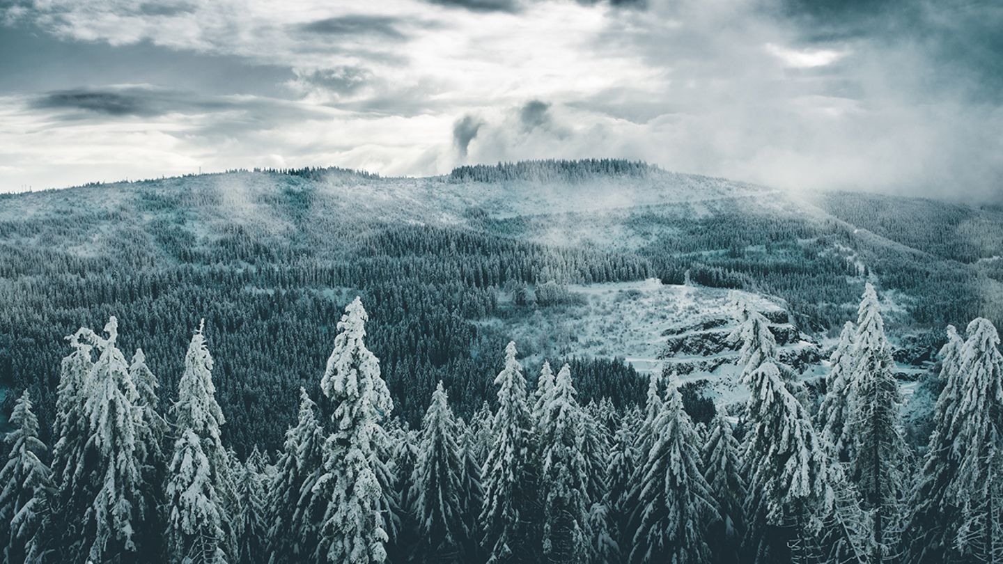 Schwarzwald