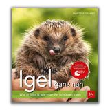Igel ganz nah