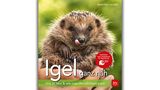 Igel ganz nah