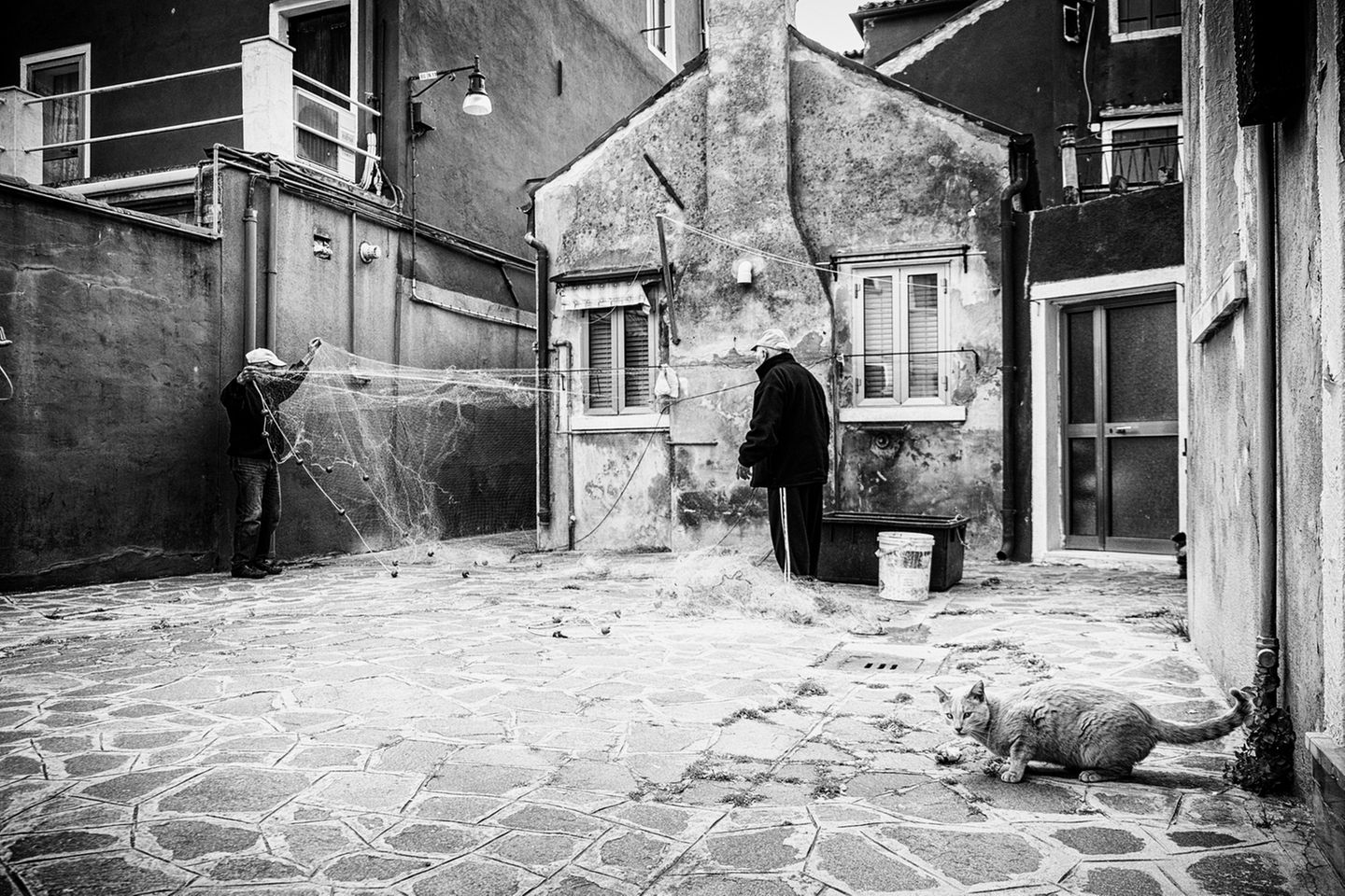 Unter Katzen Invisibili