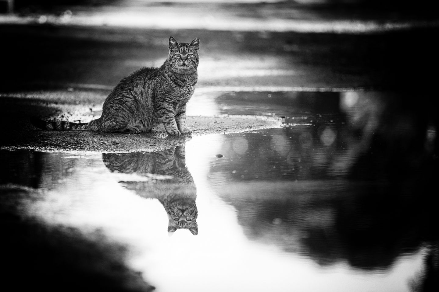 Invisibili