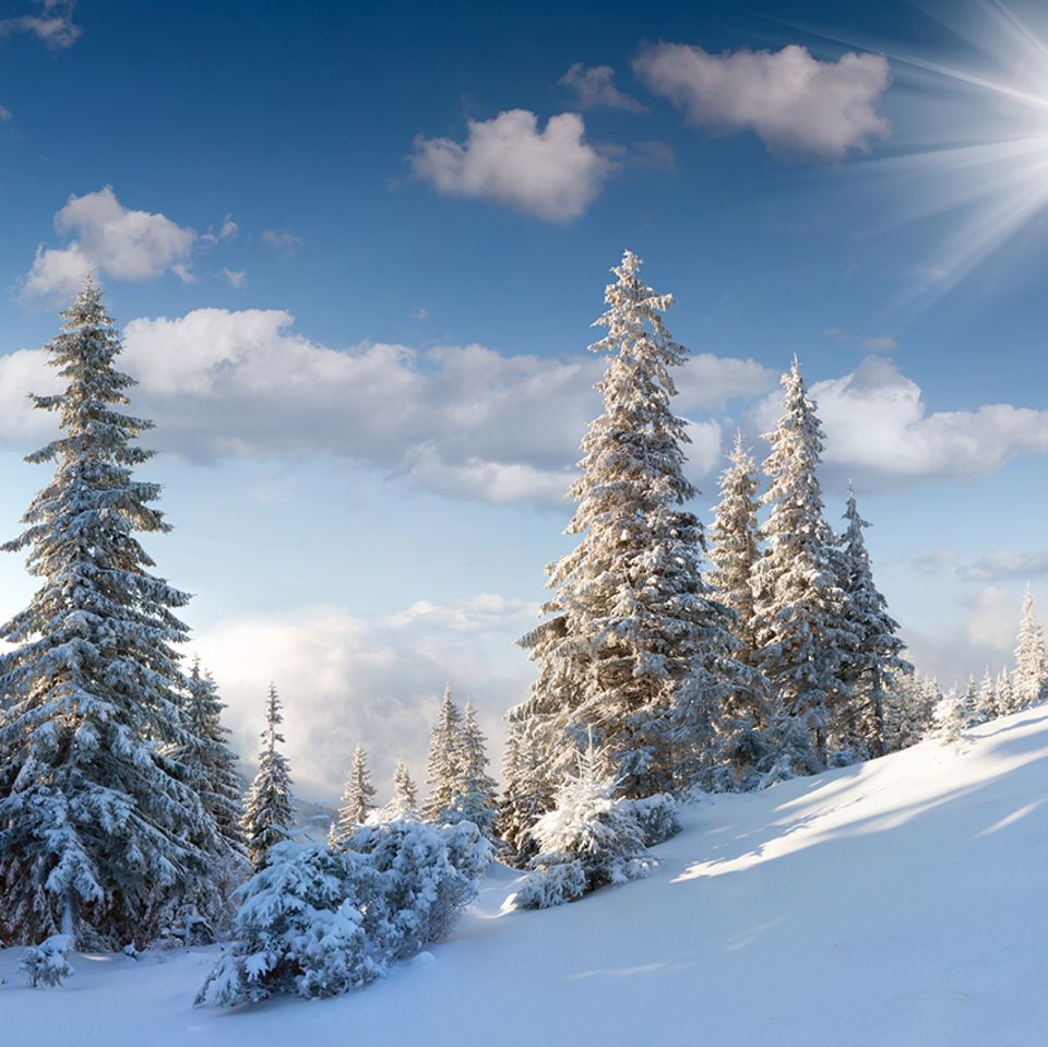 Weiße Schneelandschaft
