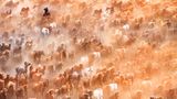 Shenghua Yang/Travel Photographer of the Year 2017