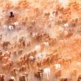 Shenghua Yang/Travel Photographer of the Year 2017
