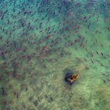 Roie Galitz/Travel Photographer of the Year 2017