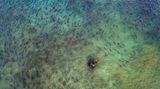 Roie Galitz/Travel Photographer of the Year 2017