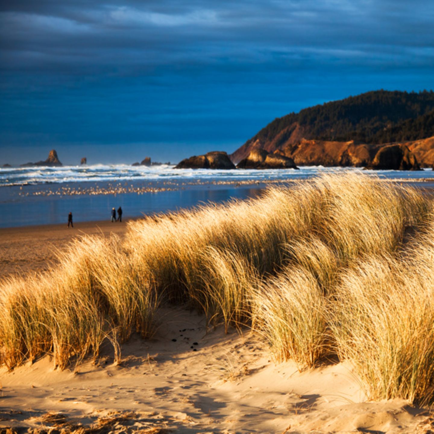 Küsten Tolle Raumideen - Raumideen Wundervolle Ideen Fur Jeden Raum