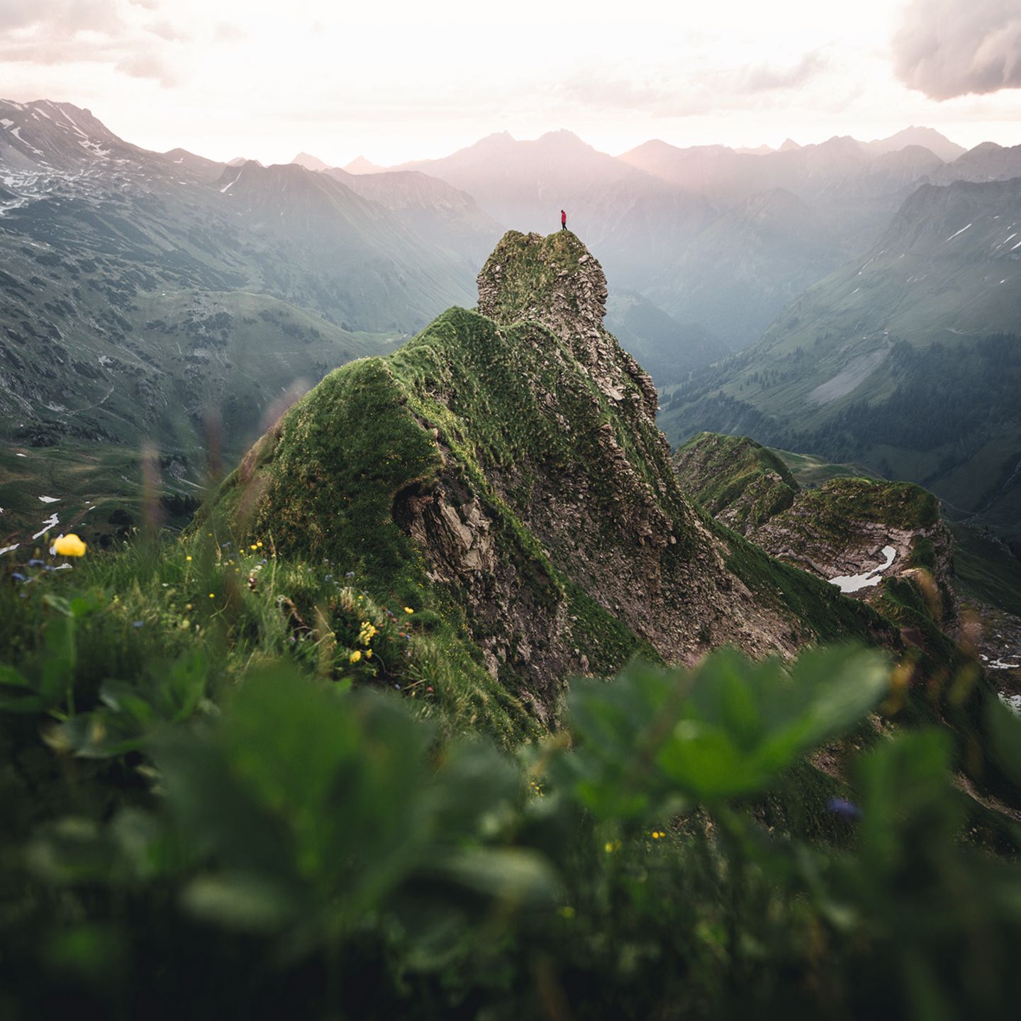 Blick auf das Nebelhorn