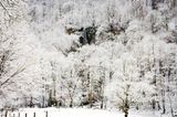 Wasserfall in Bad Urach