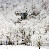Wasserfall in Bad Urach